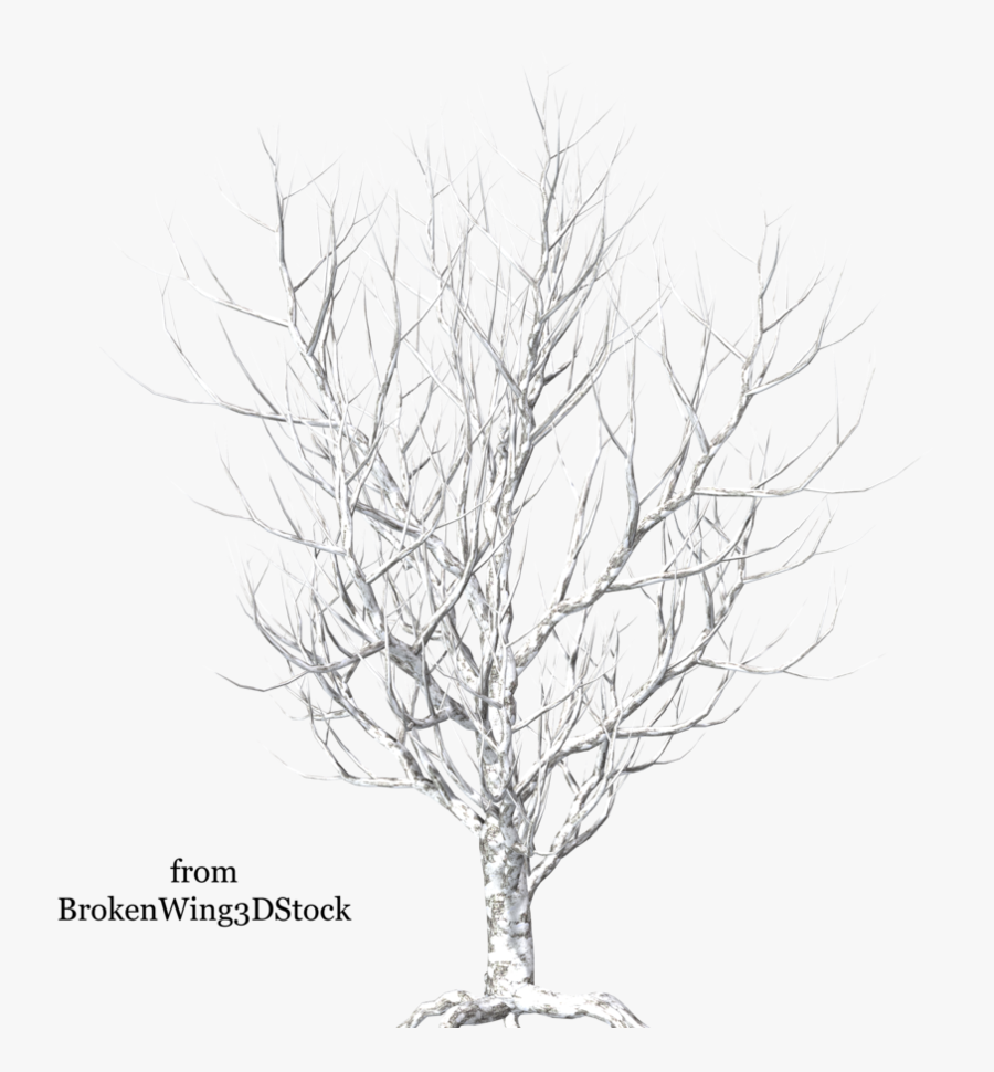 Winter Landscape, Gl - Tree, Transparent Clipart