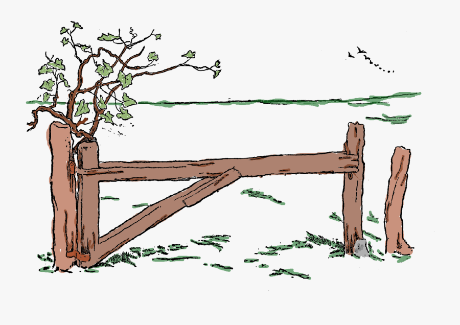 The Graphics Monarch Digital - Lumber, Transparent Clipart