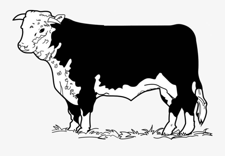 Cow Drawing Photos Kid Clipart Tutorial Free - Cow Mooing Clipart Black And White, Transparent Clipart