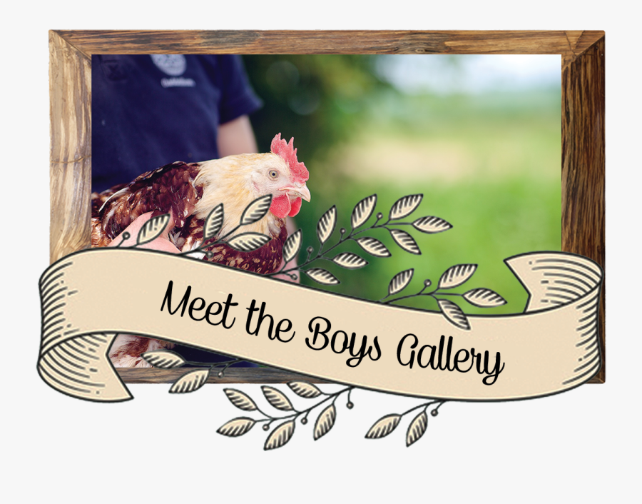 Picture Frame, Transparent Clipart