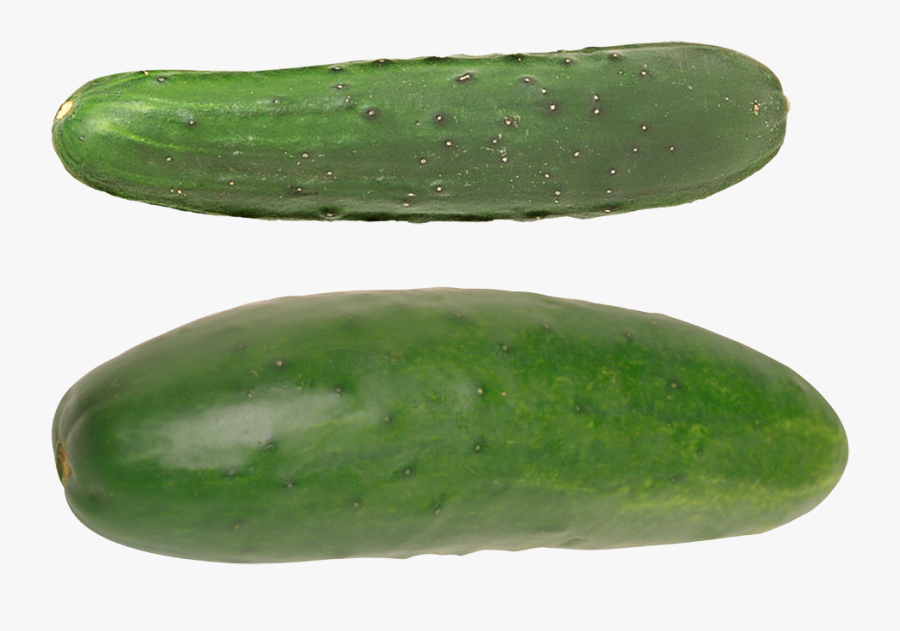 Cucumber Png - Cucumber, Transparent Clipart