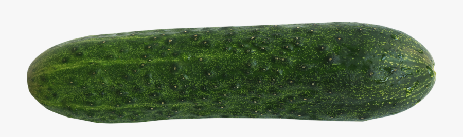 Cucumber, Food, Healthy, Eat, Garden - Cant You Do In London, Transparent Clipart