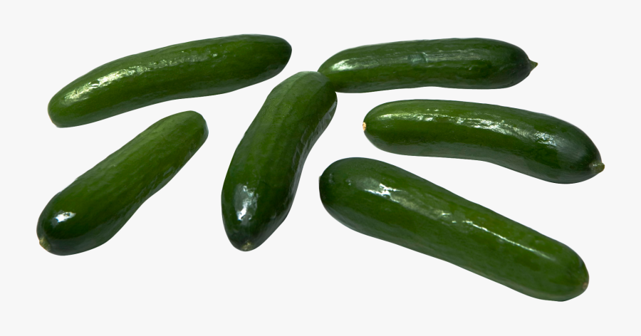 Cucumber, Transparent Clipart