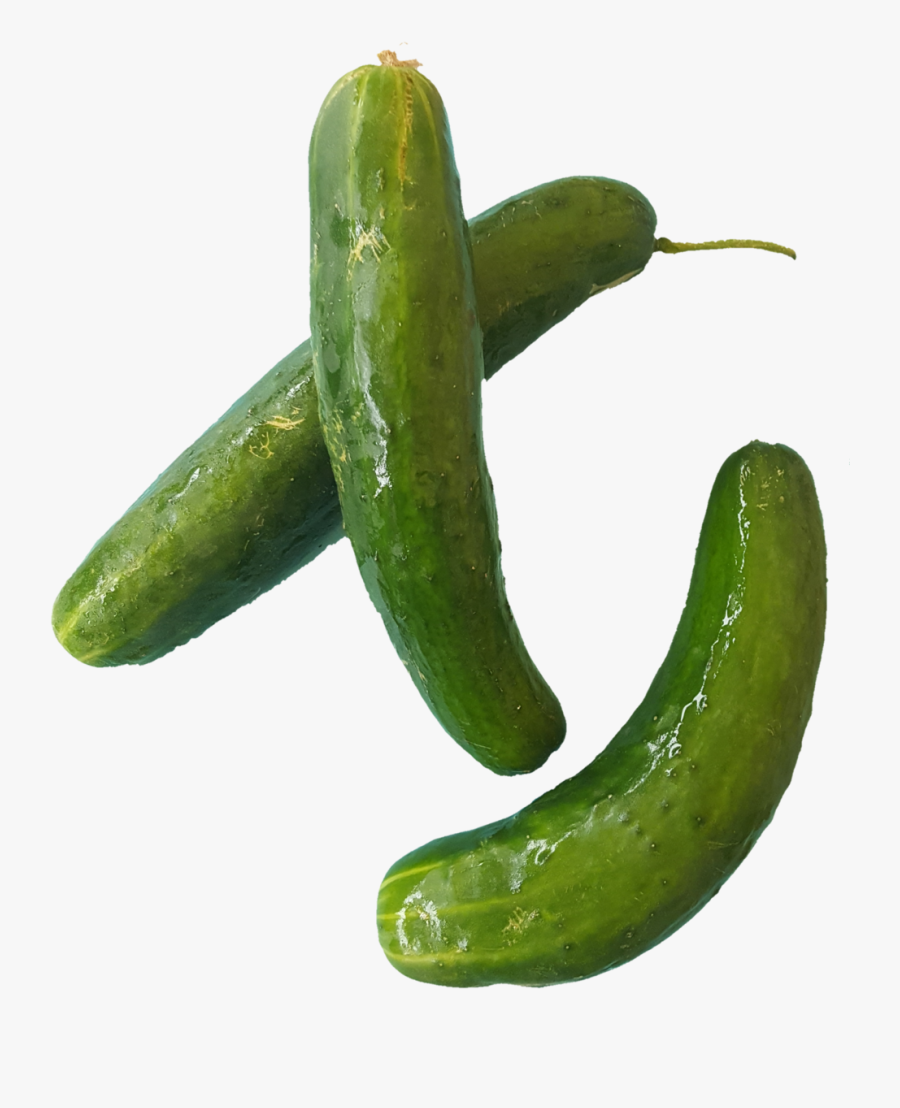 1531938448641 - Cucumber, Transparent Clipart
