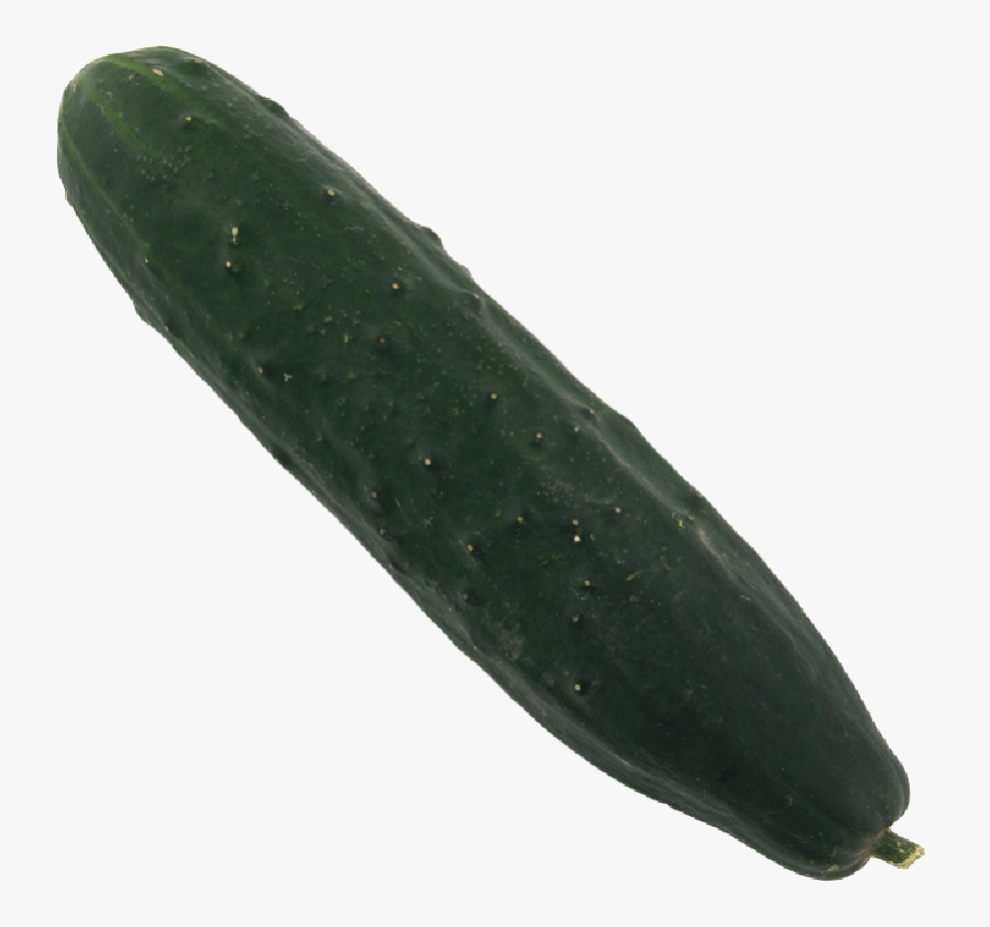 Pickled Cucumber - Cucumber, Transparent Clipart