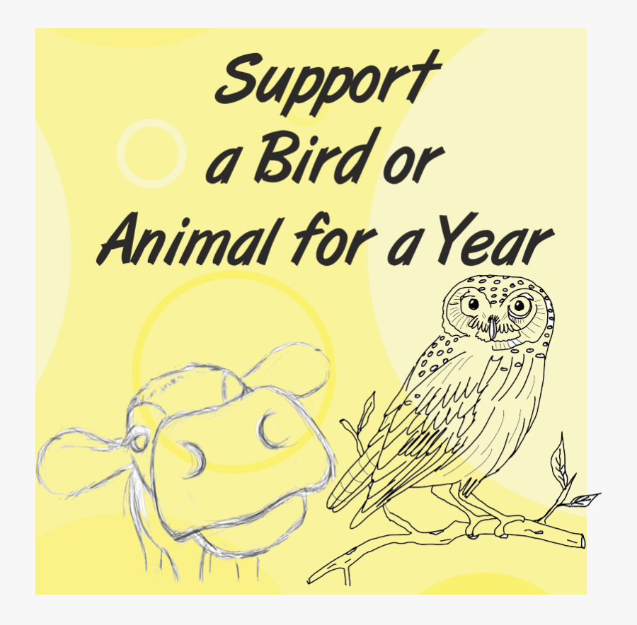 Food, Transparent Clipart