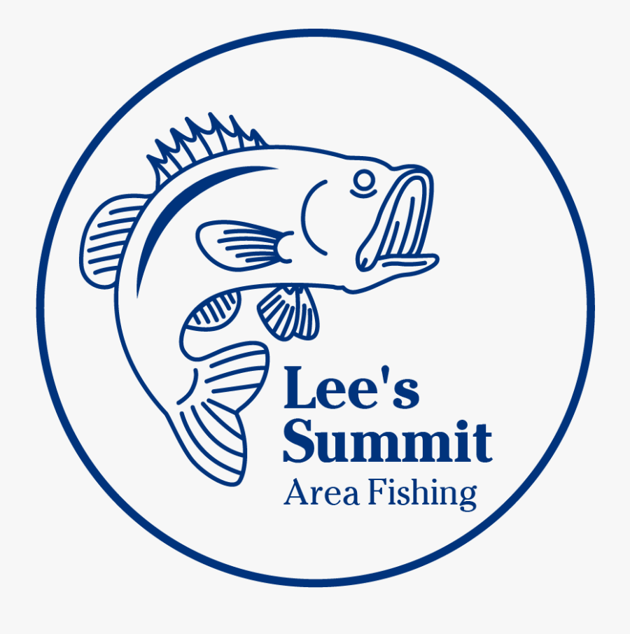 Circle, Transparent Clipart