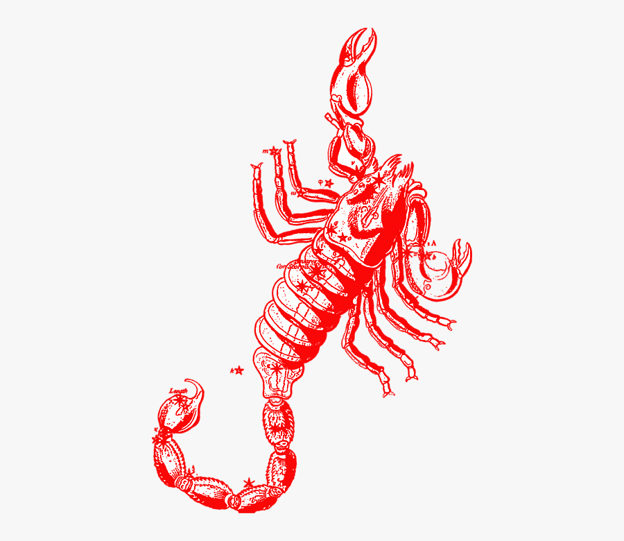 Zodiac Sign October 23 Scorpio, Transparent Clipart