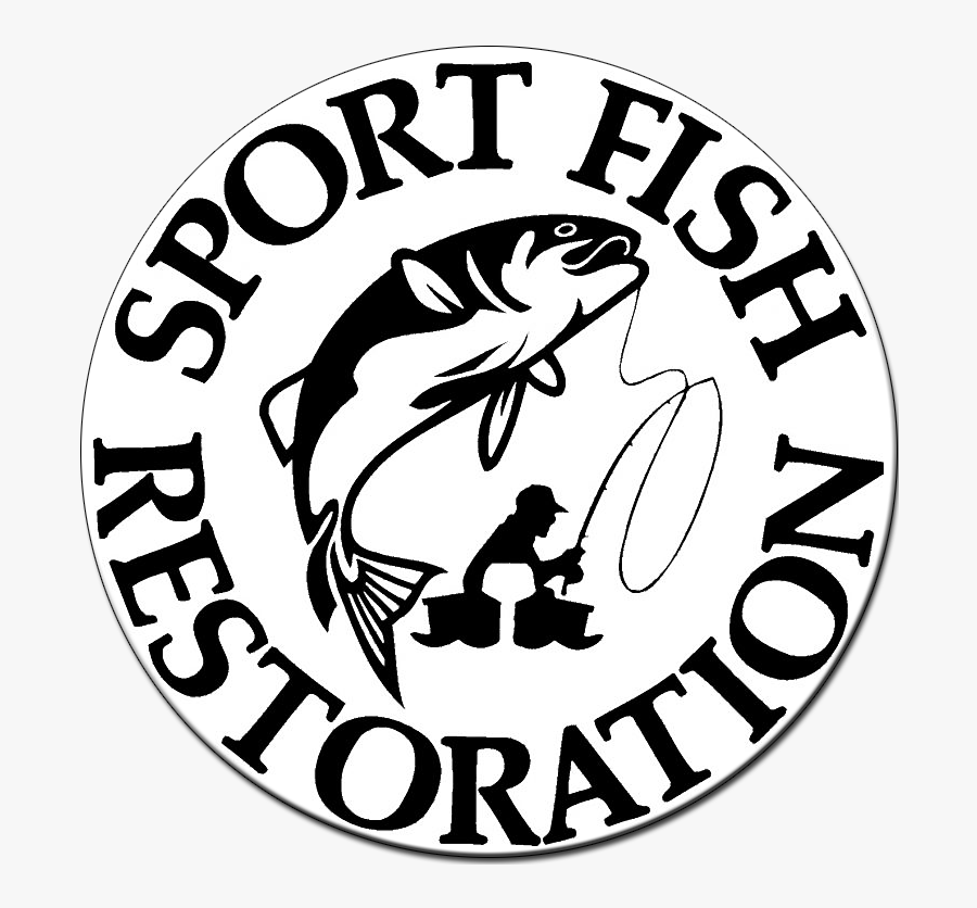 Circle, Transparent Clipart