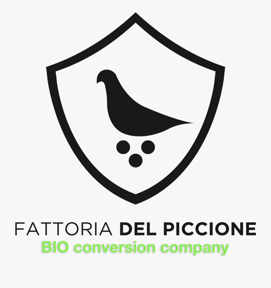 United Nations, Transparent Clipart