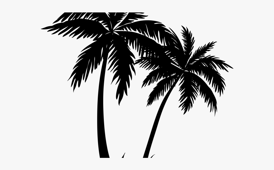 Palm Trees Transparent Background, Transparent Clipart