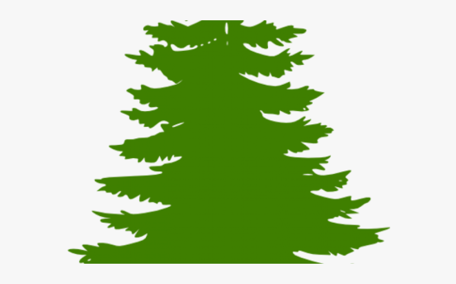 Cedar Tree Cliparts - Clipart Black Pine Tree, Transparent Clipart