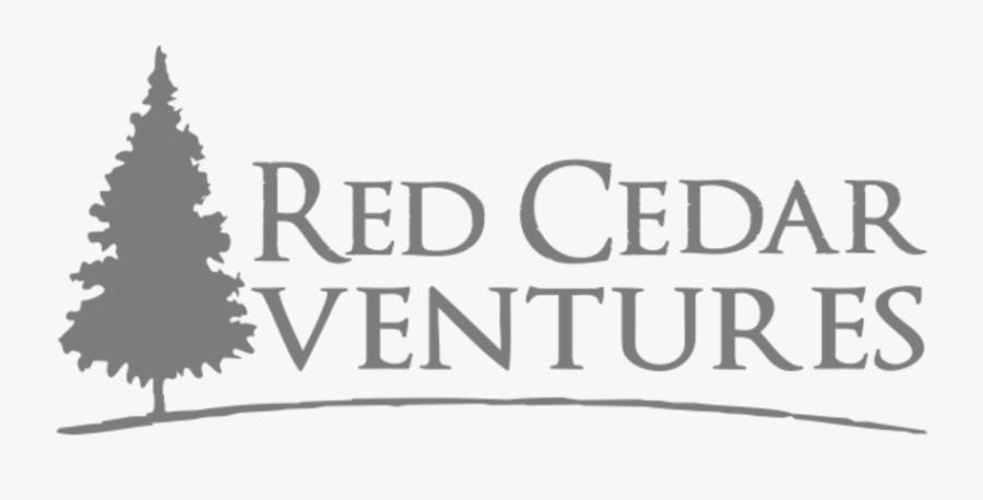 Christmas Tree, Transparent Clipart