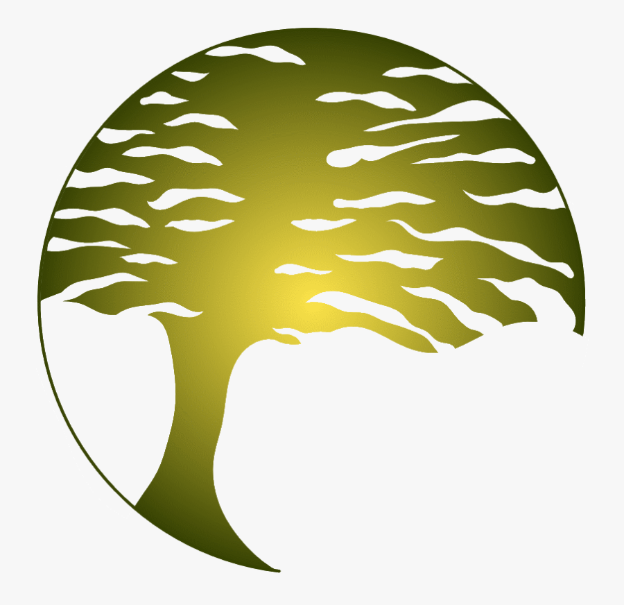 Cedar, Transparent Clipart