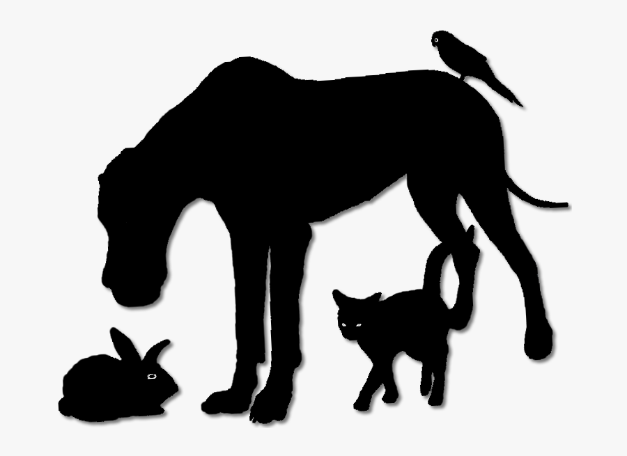 Illustration, Transparent Clipart