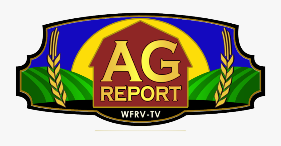 Label, Transparent Clipart