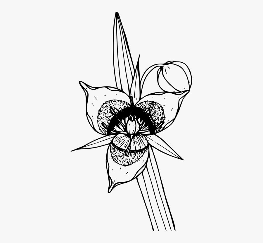 Art,symmetry,monochrome Photography - Portable Network Graphics, Transparent Clipart