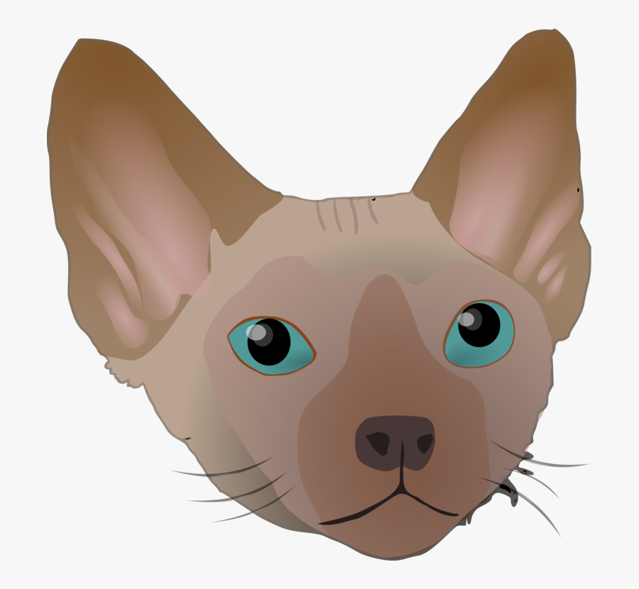 All Photo Png Clipart - Devon Rex, Transparent Clipart