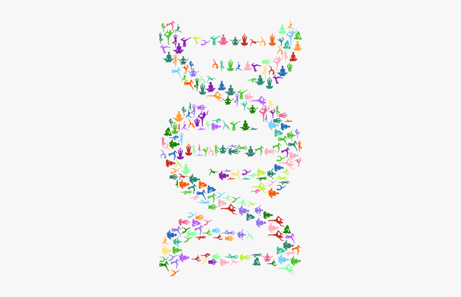 Yoga Dna - Dna Art Black And White, Transparent Clipart