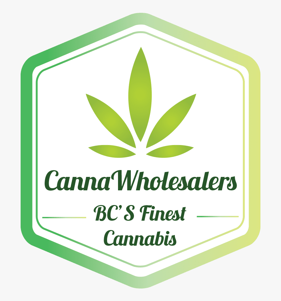 Ganja Express Coupon Code - Mustache You A Question Shirt, Transparent Clipart