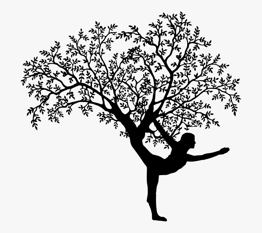 Tree And Yoga Silhouette, Transparent Clipart
