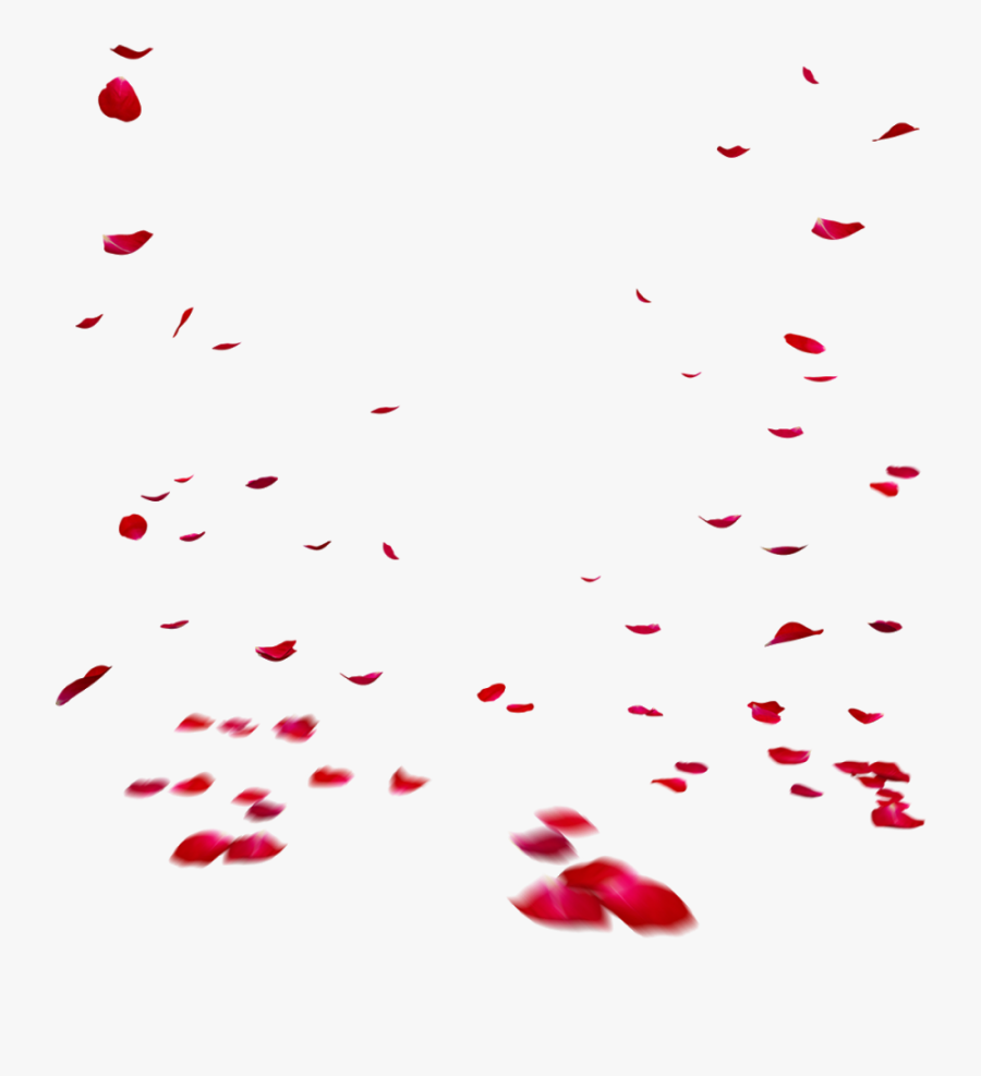 Falling Rose Petals Transparent Images Png - Red Transparent Falling Rose Petals Png, Transparent Clipart
