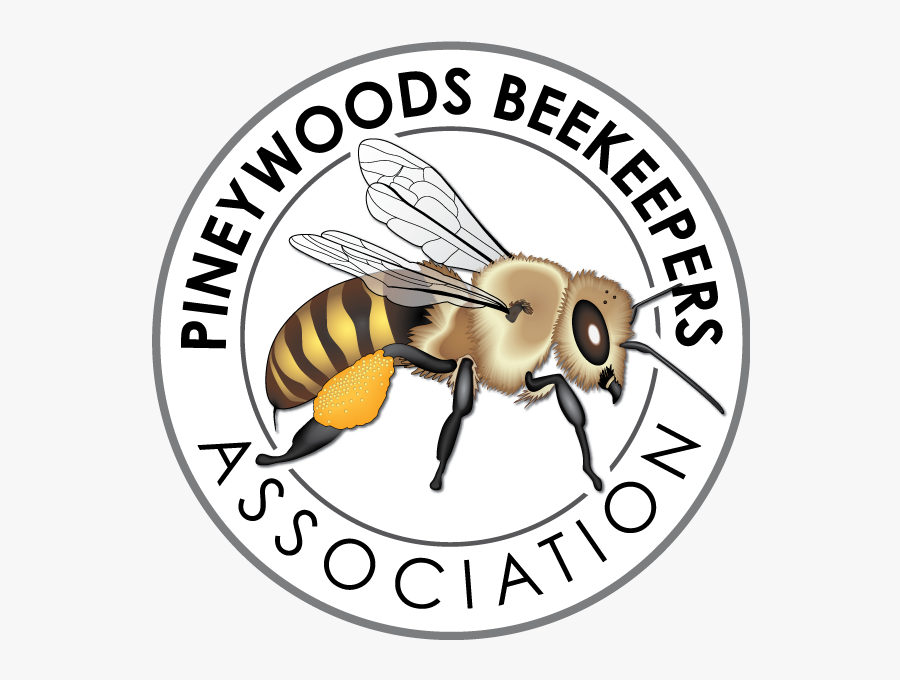 Honeybee, Transparent Clipart