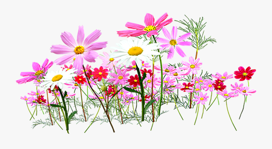 Flower Garden Cut Flowers - Flowers Clipart, Transparent Clipart