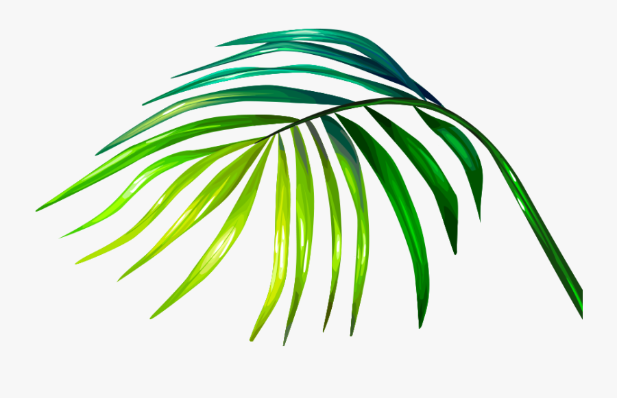 The Little Flower Shop, Transparent Clipart