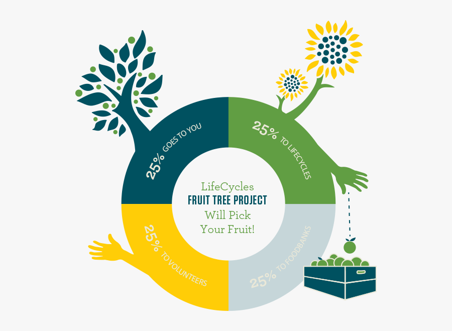 Life Cycle Fruit Tree, Transparent Clipart