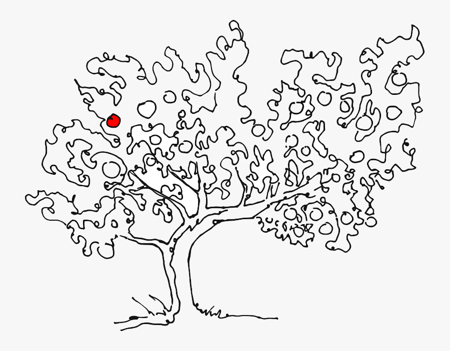 Transparent Apple Tree Png - Apple Tree Line Drawing, Transparent Clipart