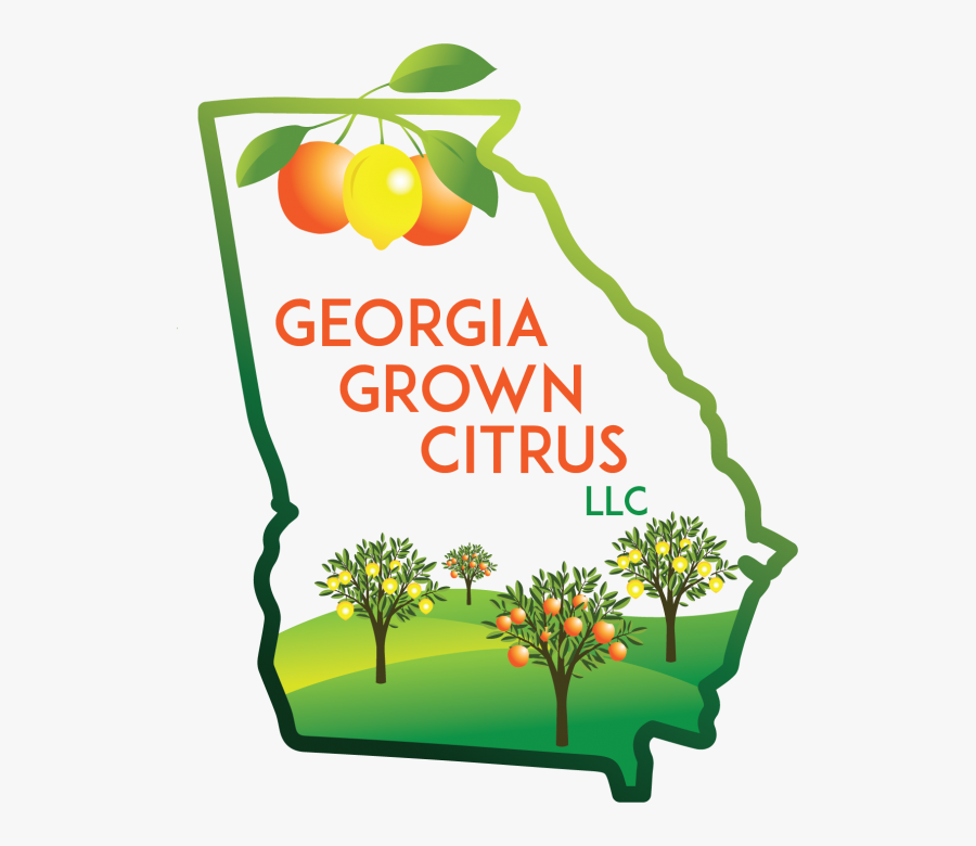 Georgia Citrus, Transparent Clipart
