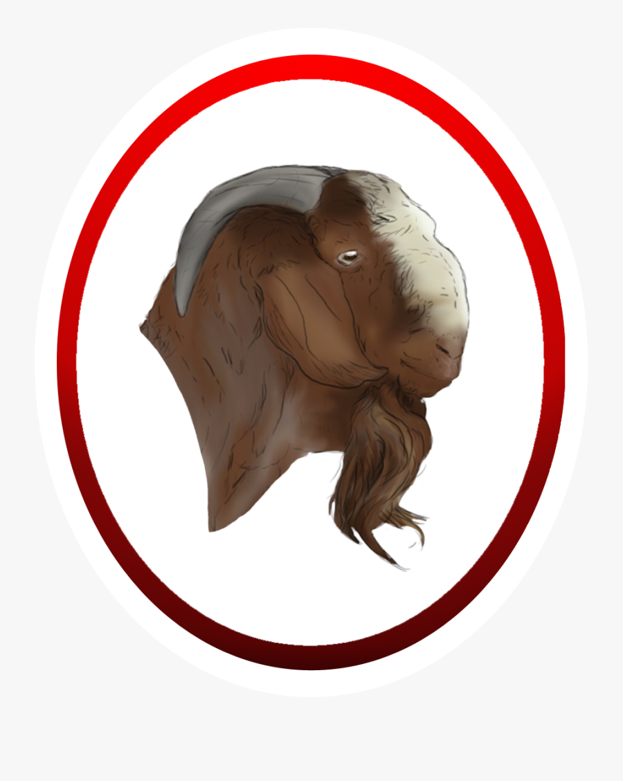 Boer Logo Animal Kid - Boer Goat Head Png, Transparent Clipart