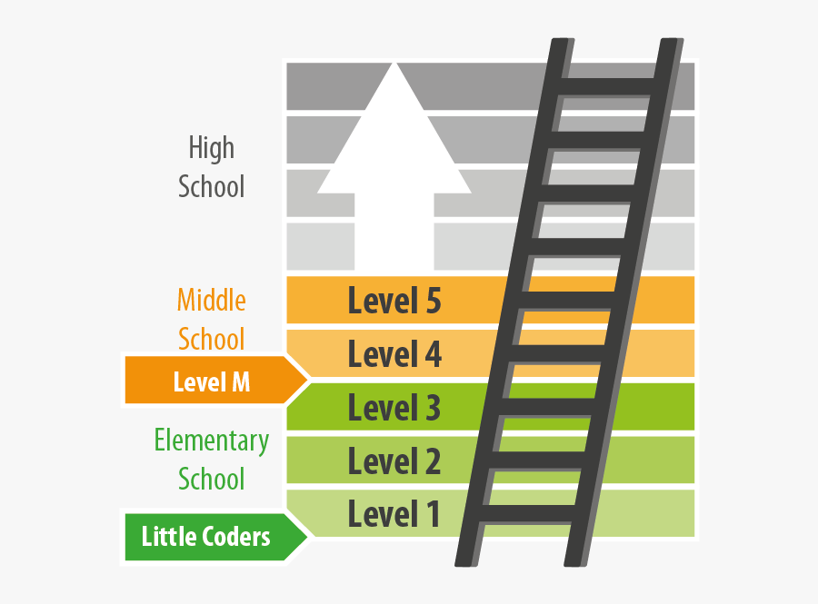 Graphic Design, Transparent Clipart