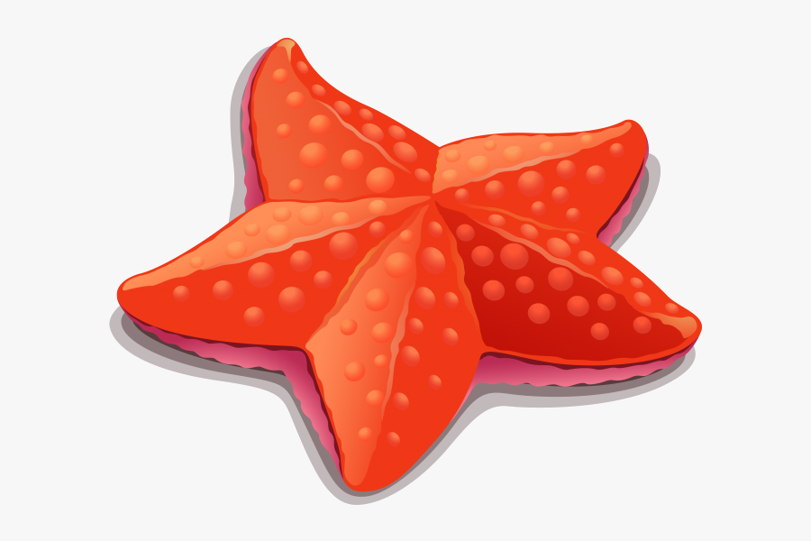 Starfish Clipart Image Free Transparent Png - Starfish Cartoon Clip Art, Transparent Clipart