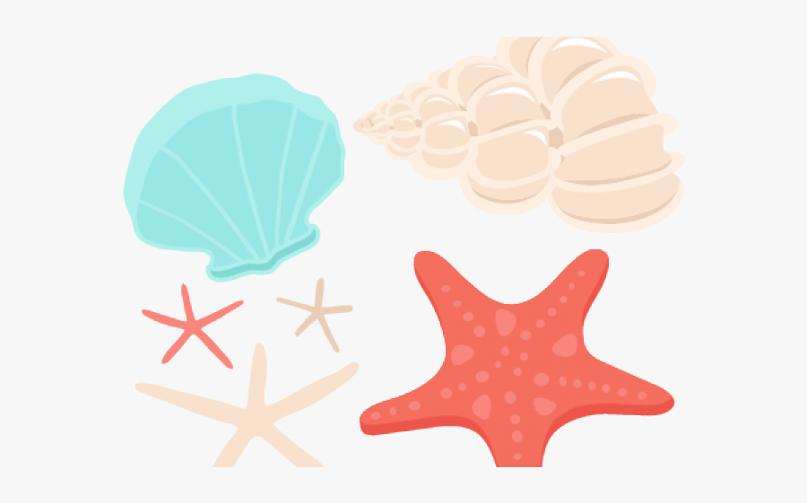 Seashell Illustrations Transparent, Transparent Clipart