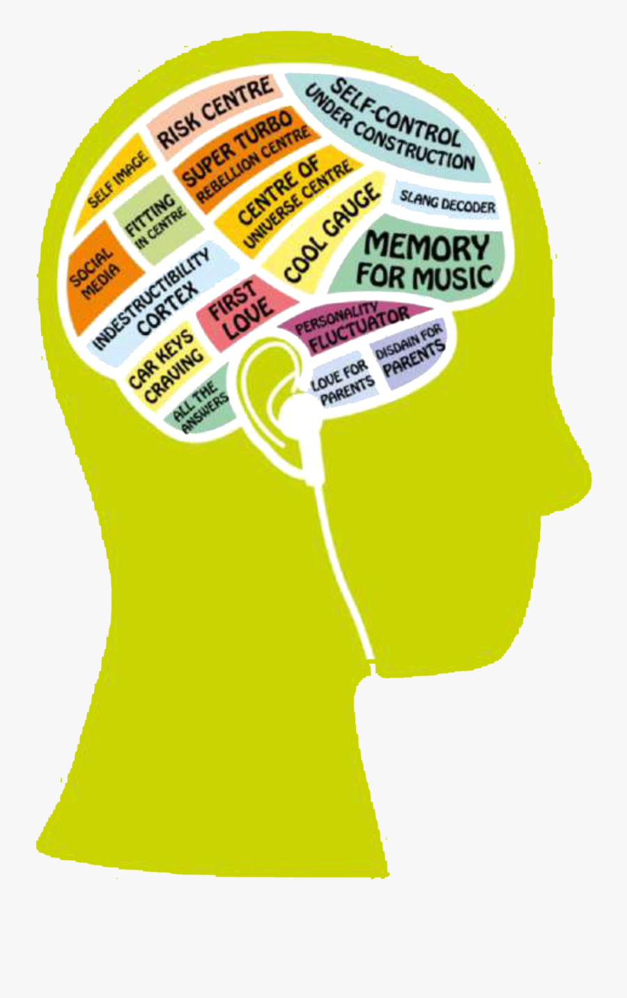 Imyc Head -, Transparent Clipart