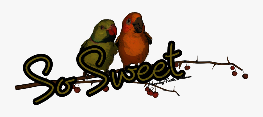 #sosweet #birds #compliments #edit #compliment #mandylh - Portable Network Graphics, Transparent Clipart