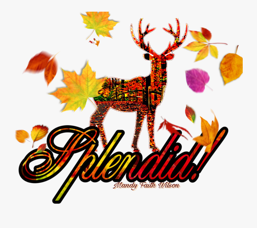 #mandylh #autumn #deer #splendid #compliment #compliments - Deer, Transparent Clipart