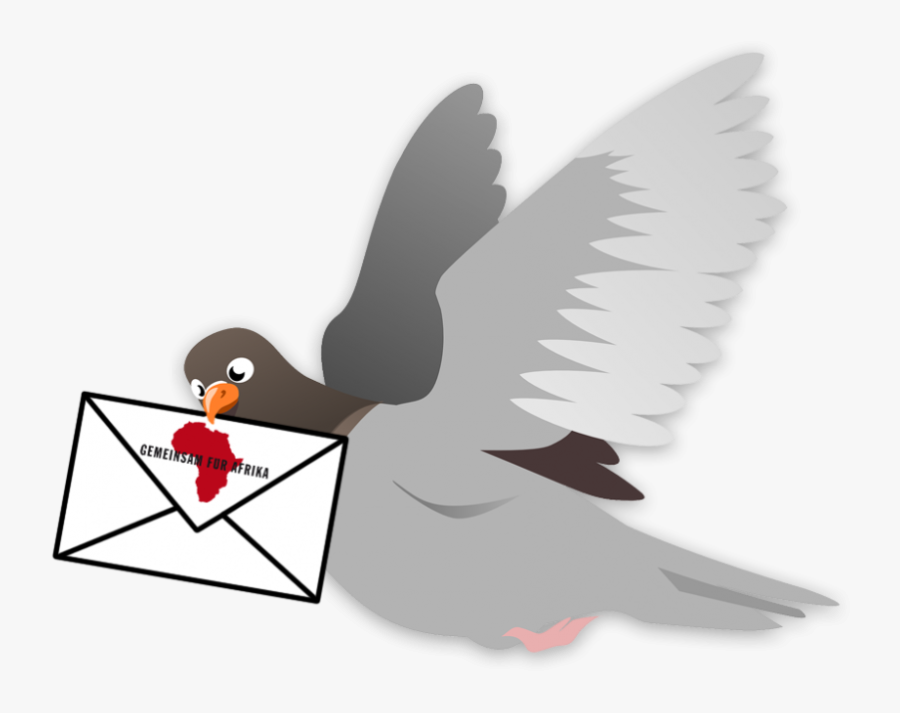 Homing Pigeon Computer Icons Flight Release Dove Clip Racing Pigeon Clip Art , Free