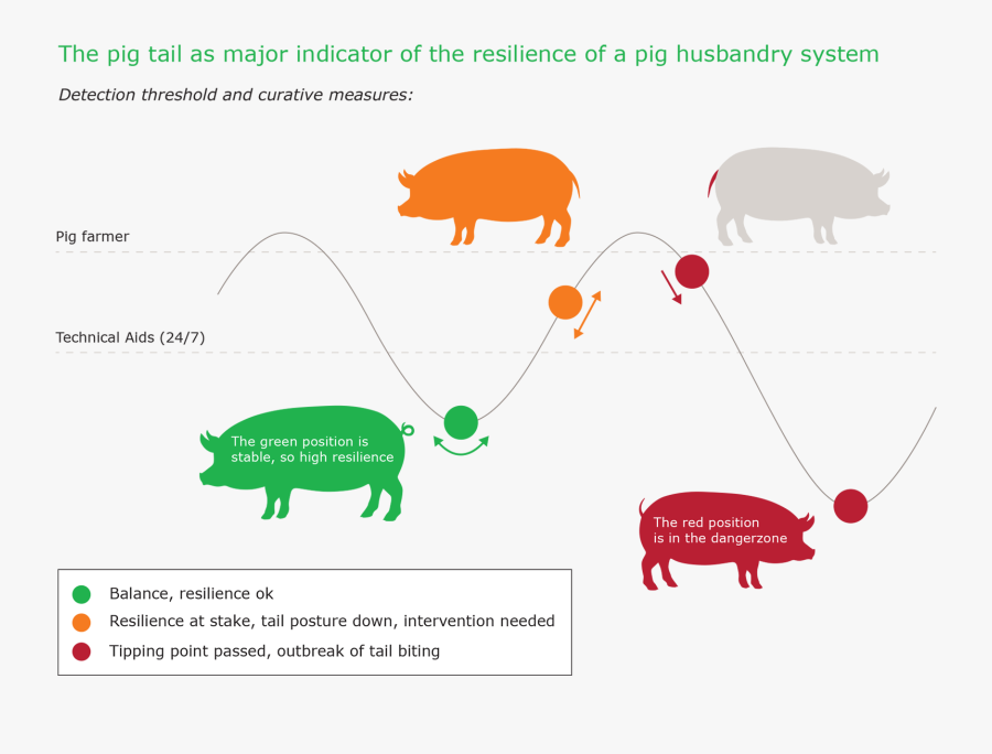 Livestock, Transparent Clipart