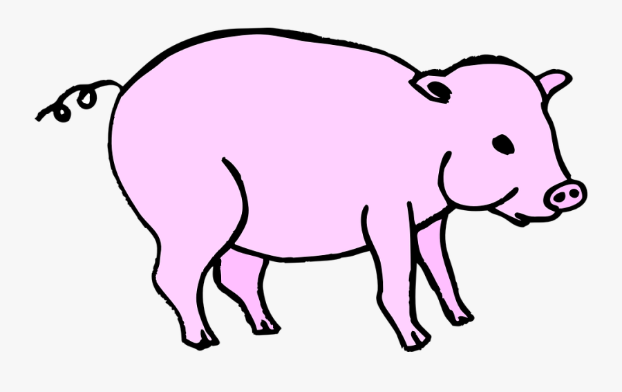 Pig, Pink, Barn, Animal, Tail, Curly, Piggy - Domuz Png, Transparent Clipart