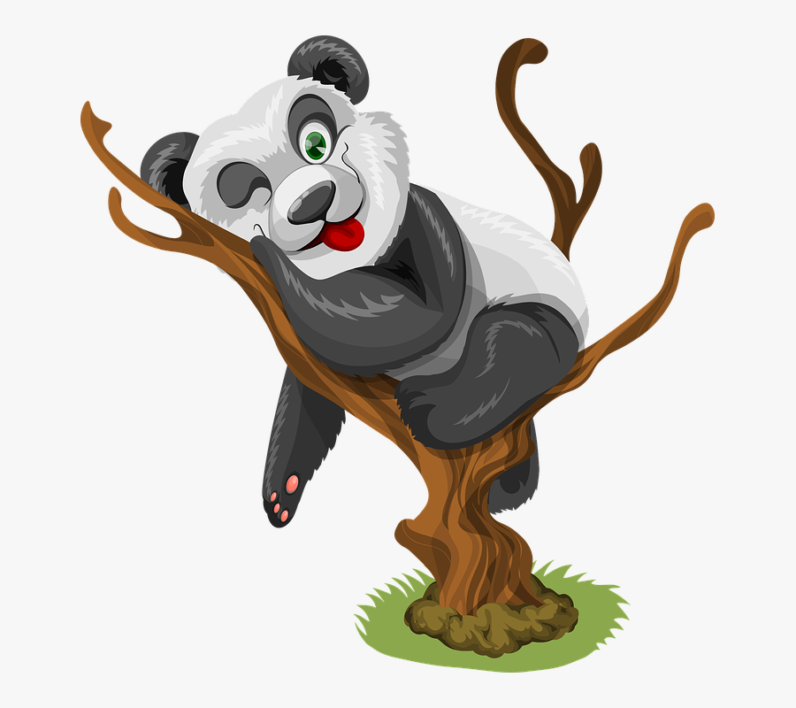 Panda, Little Panda, Baby Panda, Baby, Little, Cute - Cute Panda Good Morning, Transparent Clipart