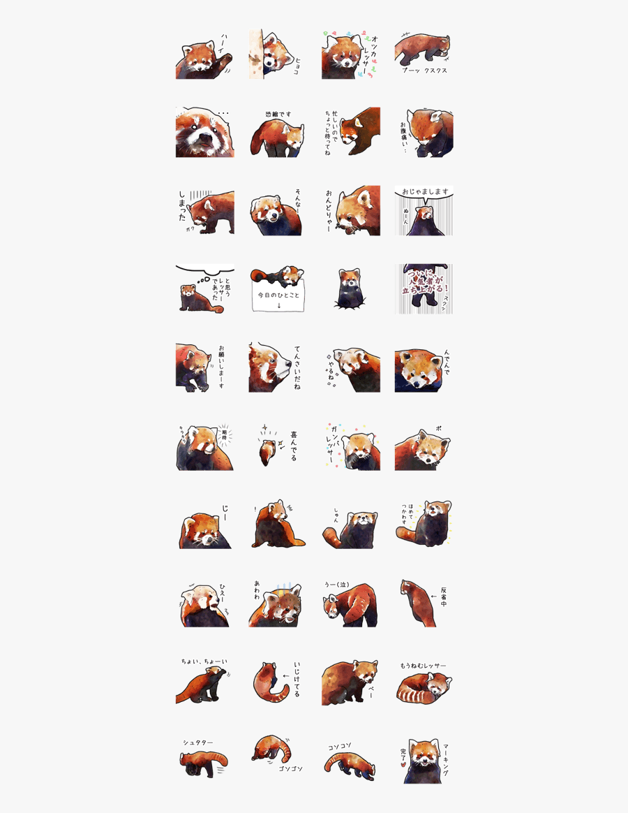 Panda Clipart Watercolor - Sticker Line Red Panda, Transparent Clipart