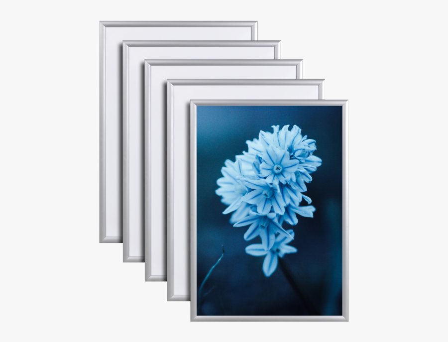 Clip Frame, Transparent Clipart