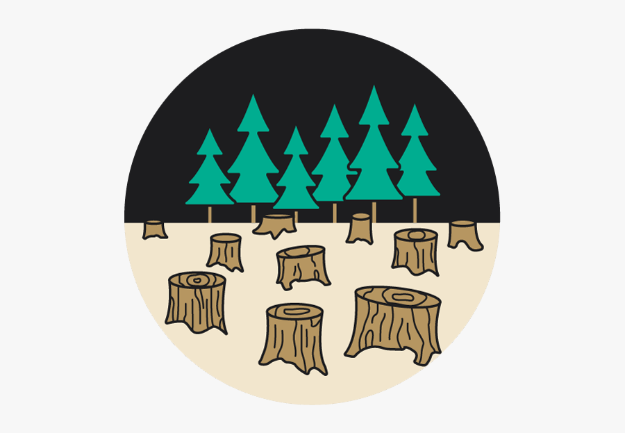Roost Loss - Triangle, Transparent Clipart