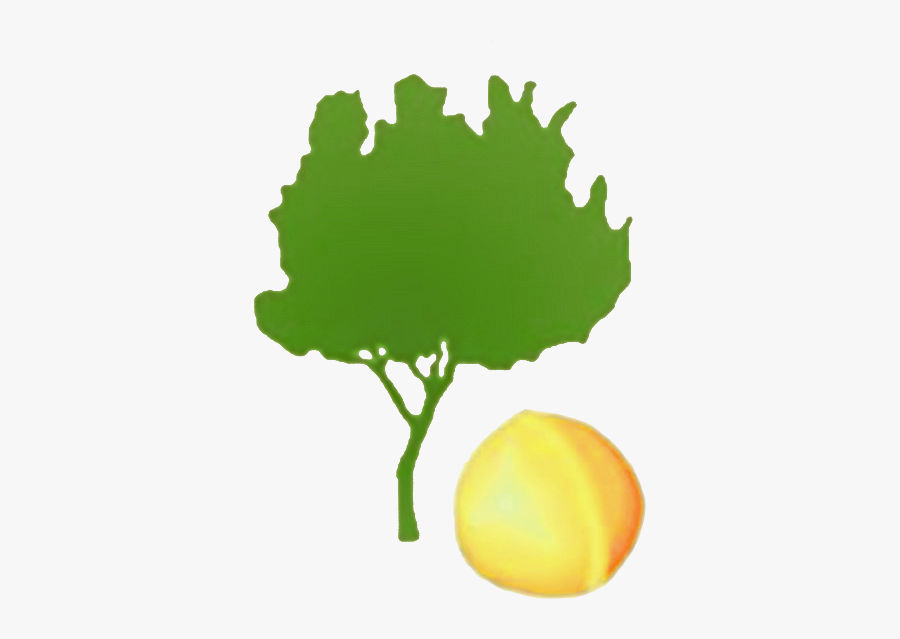 Tree, Transparent Clipart