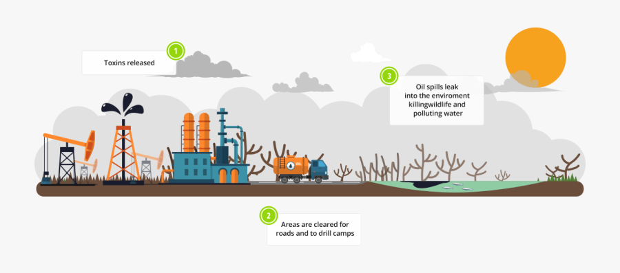 Illustration, Transparent Clipart