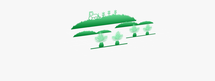 Paisaje-verde - Palm Tree, Transparent Clipart
