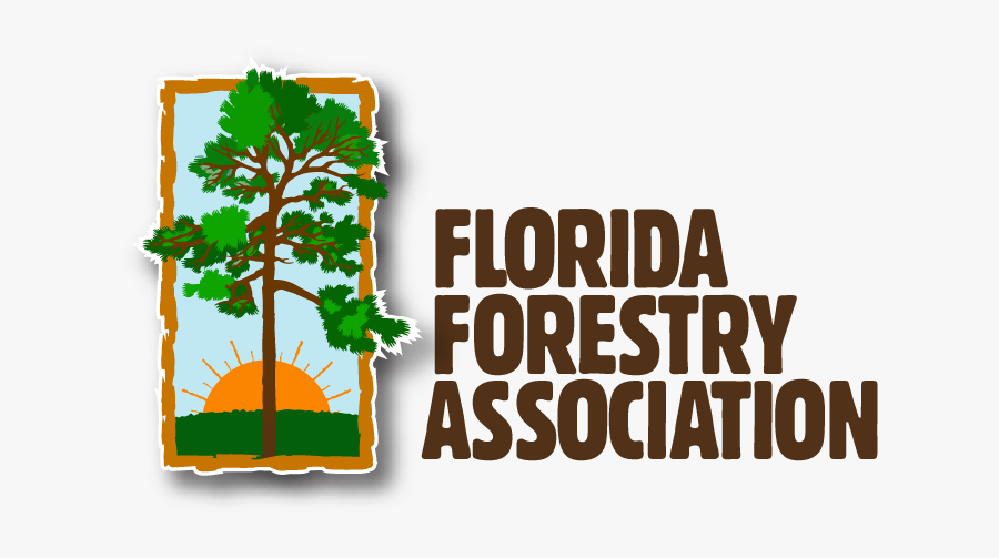 Tree, Transparent Clipart